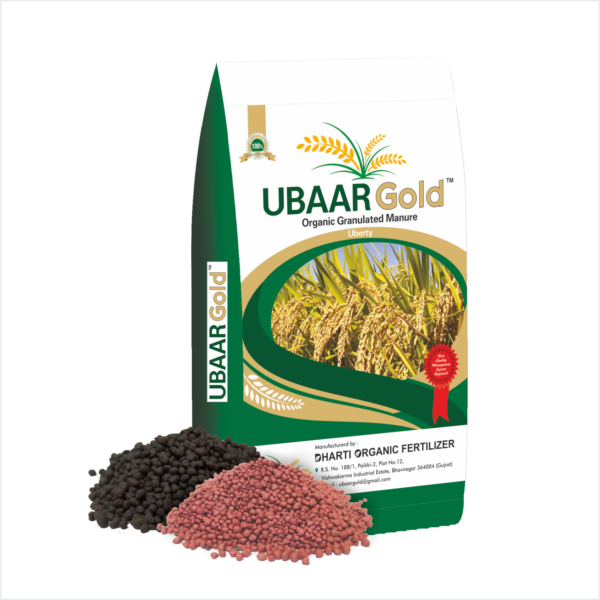 Ubbar Gold